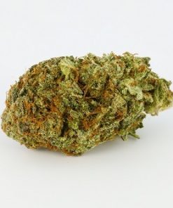 Afghan Kush Marijuana Strain - Resinous Indica with Calming Effects