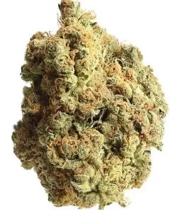 Alaskan Thunderfuck cannabis strain