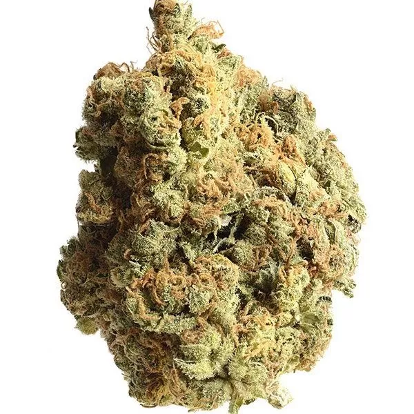 Alaska Thunderfuck Weed kaufen Alaskan Thunderfuck cannabis strain