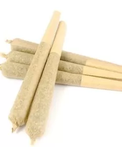 Amnesia Haze Pre Rolled Joints - Convenient and Premium Quality