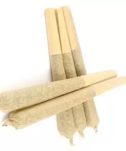 Blue Dream Pre Rolled Joints - Weedmarihuana.eu
