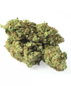 Buy AK 47 Weed Strain | AK 47 Weed Strain for sale Europe