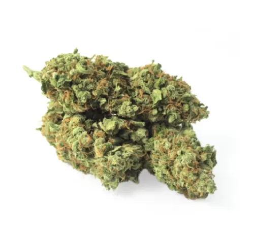 AK-47 weed Buy AK 47 Weed Strain | AK 47 Weed Strain for sale Europe