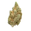 Amnesia haze strain Buy Amnesia Haze online