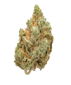 Buy Amnesia Haze online