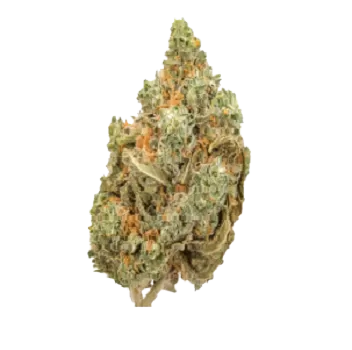 Amnesia haze strain Buy Amnesia Haze online