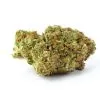 Buy Critical Weed Strain Image of Critical Weed Strain - Buy Critical Weed Strain UK