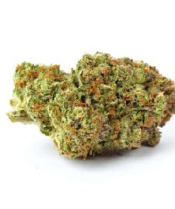 Image of Critical Weed Strain - Buy Critical Weed Strain UK