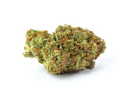 Image of Critical Weed Strain - Buy Critical Weed Strain UK