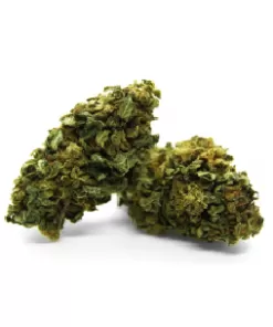 Buy Gorilla Glue Strain