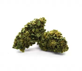 Buy Gorilla Glue strain Buy Gorilla Glue Strain