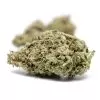 Buy White Widow Strain