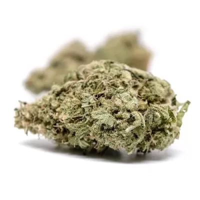 Buy White Widow Strain