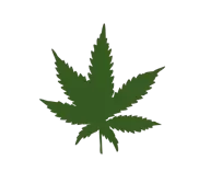 Buy Weed Online UK | Buy Marijuana Online Europe – Weedmarihuana.