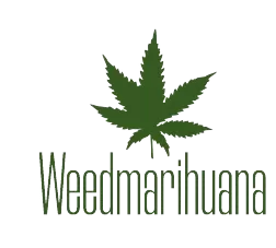 Buy Weed Online UK | Buy Marijuana Online Europe – Weedmarihuana.