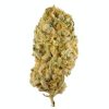 Jack Herer strain for sale, Buy Jack Herer marijuana strain