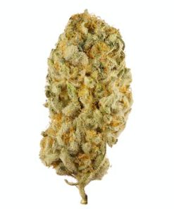 Jack Herer strain for sale, Buy Jack Herer marijuana strain