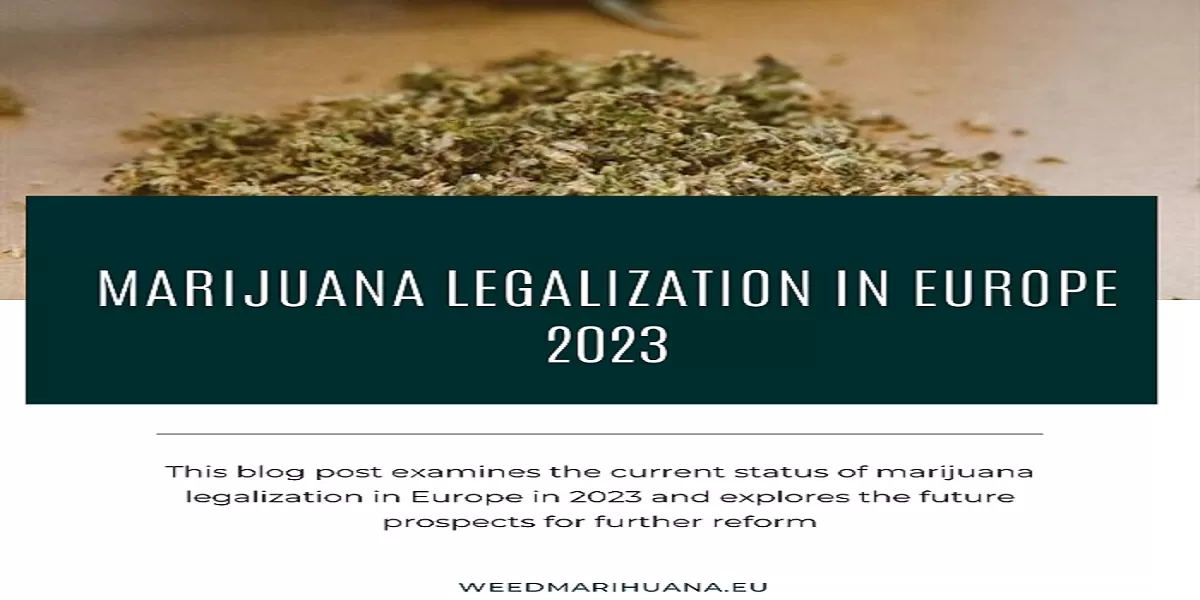 The Marijuana Legalization In Europe 2026: Breaking the Green Barrier Marijuana Legalization In Europe 2023: Current Status and Future Prospects