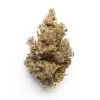 Buy Pink Death Star Strain Online - Pink Death Star Strain kaufen – Beste Qualität online