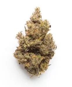 Buy Pink Death Star Strain Online - Pink Death Star Strain kaufen – Beste Qualität online