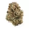 Platinum Bubba Kush Strain - Premium Quality