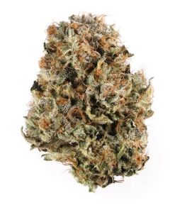 Platinum Bubba Kush Strain - Premium Quality