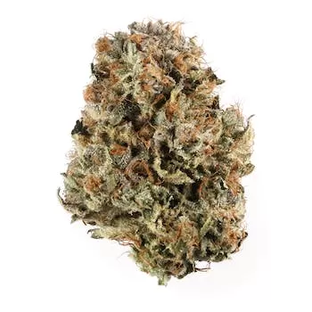 Comprar Platinum Bubba Kush Weed Platinum Bubba Kush Strain - Premium Quality