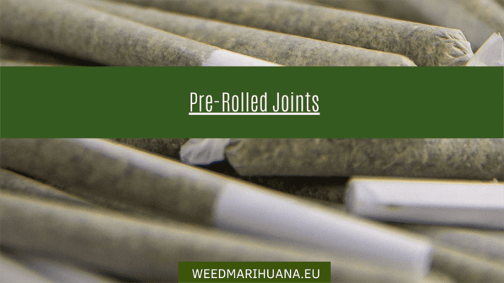 Weed online kaufen Deutschland - Der bequeme Weg zu hochwertigem Marihuana Affordable pre-rolled joints for easy consumption