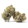 Image of buy purple diesel marijuana strain online