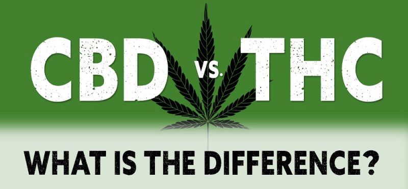 Which Vendors Offer Compliant THC Products for Clinics? THC vs CBD Comparison