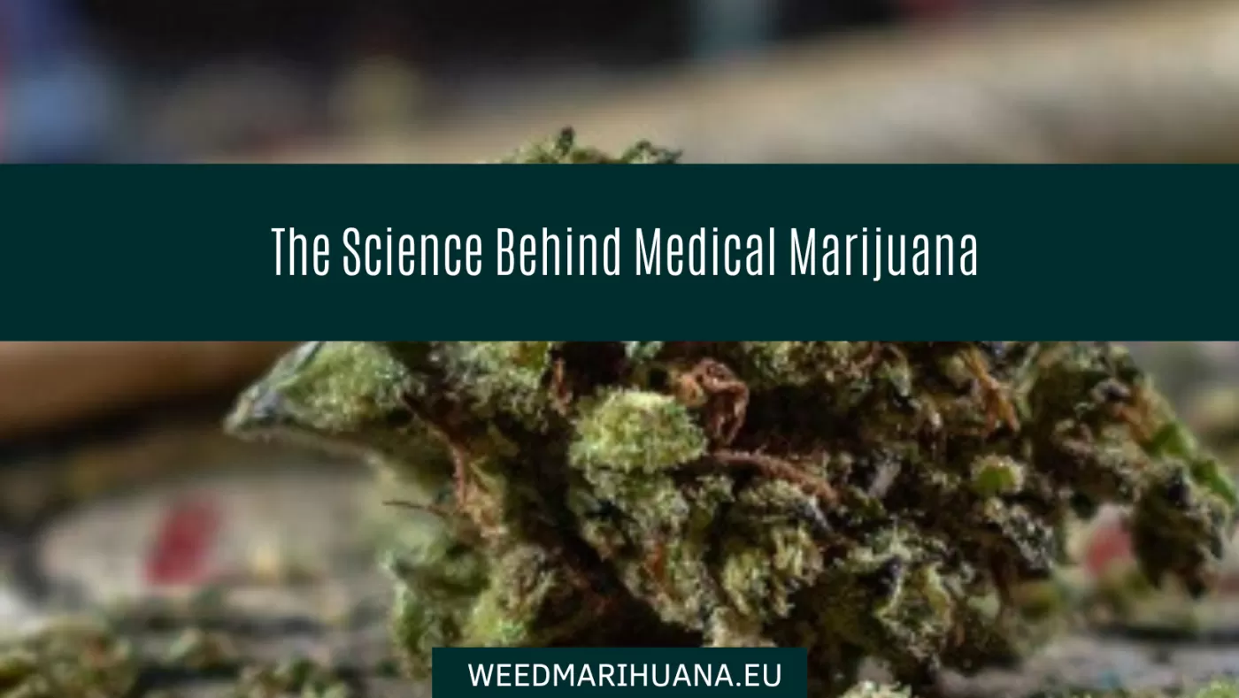 Science Behind Medical Marijuana The Science Behind Medical Marijuana
