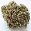 White Rhino marijuana strain - Premium buds from Weedmarihuana.eu