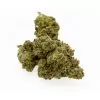 OG Kush online kaufen buy OG Kush online
