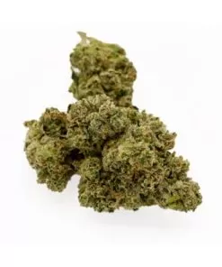 buy OG Kush online