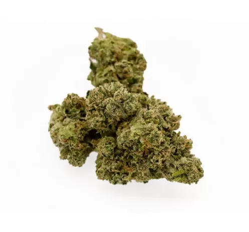 Comprar OG Kush Weed Europa buy OG Kush online