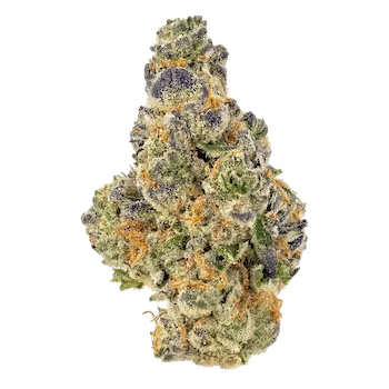 Acheter God Bud Weed Buy God Bud Strain Online - Weedmarihuana.eu