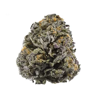 Granddaddy Purple Near Me Granddaddy Purple near me