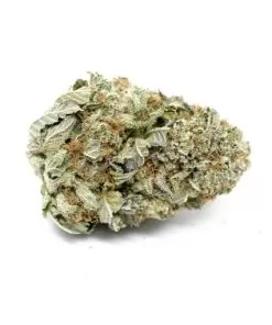 Buy Skywalker OG Stiiizy