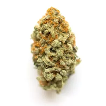 Comprar Vanilla Kush weed Vanilla Kush strain - Sensory delight