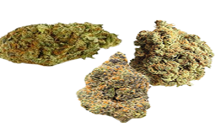 10 Greatest Cannabis Hybrid Strains Of All Time