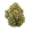 Buy blue dream strain