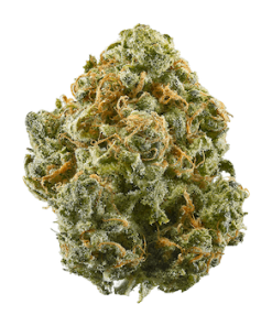 Buy blue dream strain