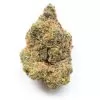 Buy Girl Scout Cookies Online at Weedmarihuana.eu