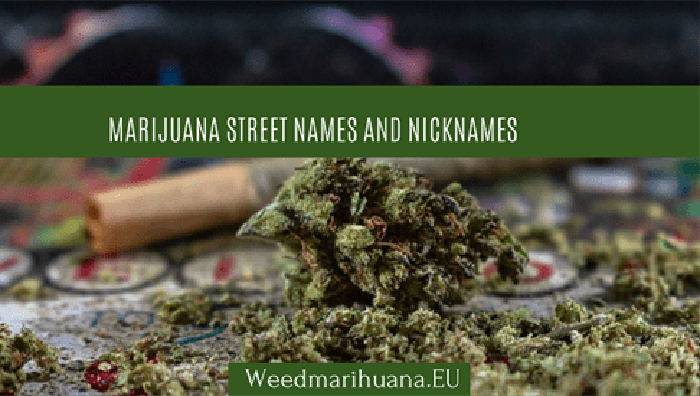 Marijuana Other Names