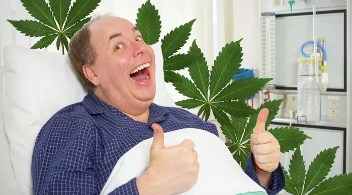 Can Marijuana Help Those With Anxiety? Best Cannabis Strains for Sale in Europe Medical Applications of Gorilla Grips Strain