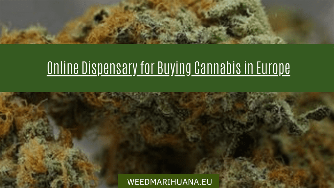 Online Dispensary for Buying Cannabis in Europe - Weedmarihuana.eu