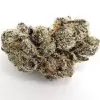 buy Moneybag Runtz Strain - Premium cannabis product available at Weedmarihuana.eu