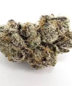 buy Moneybag Runtz Strain - Premium cannabis product available at Weedmarihuana.eu