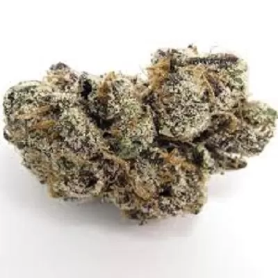 Buy Moneybag Runtz Strain buy Moneybag Runtz Strain - Premium cannabis product available at Weedmarihuana.eu