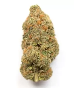 buy Strawberry Banana Kush Strain